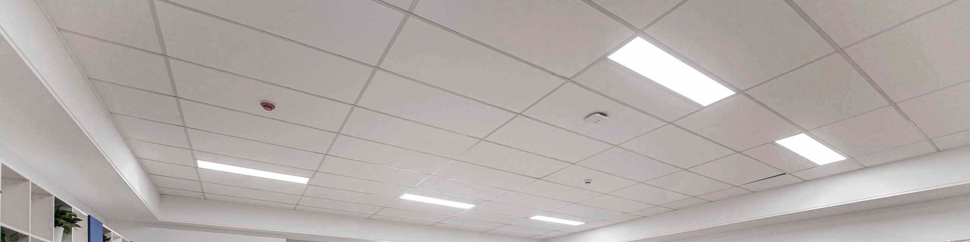 LED Panel & Troffer