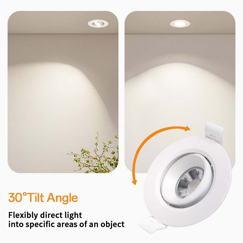 Recessed Adjustable Downlight, LED Ceiling Light, 30° Tilt Angle, 165 Lumens, 3W, 50 Pack